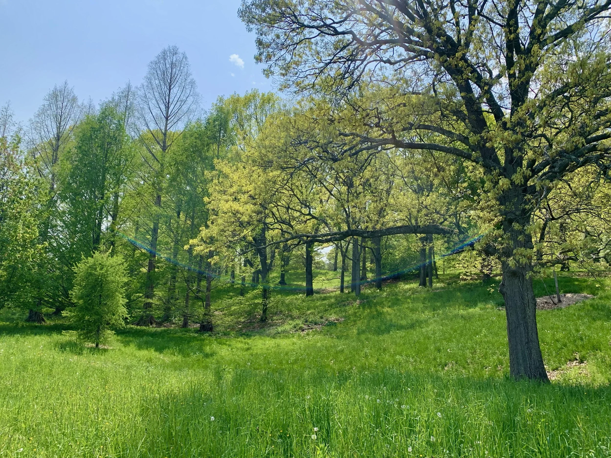 Spring Update — Bclocker Art